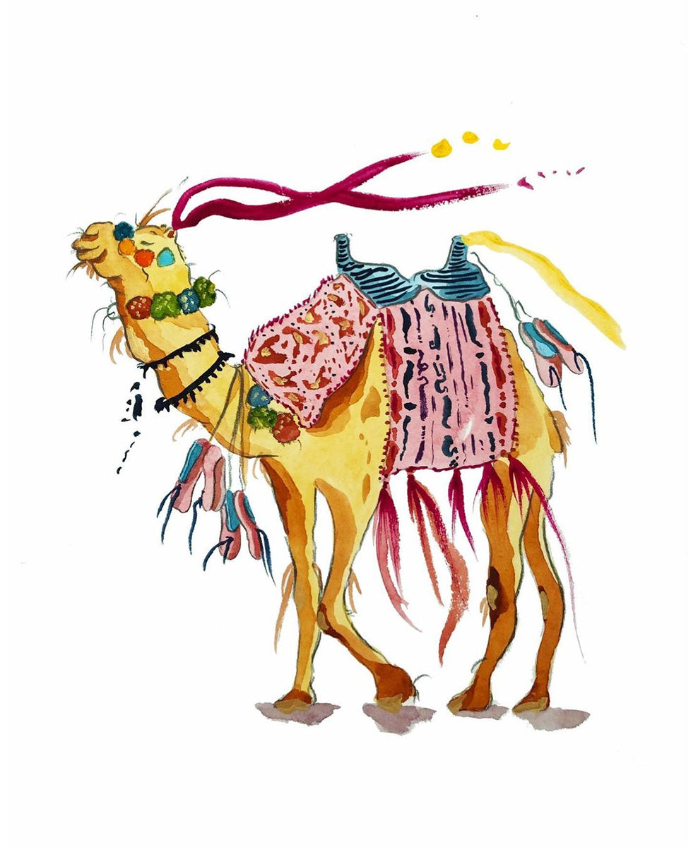 Camel A5 Card