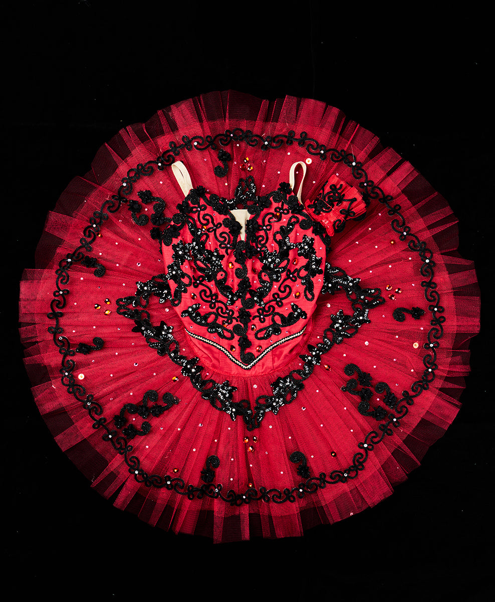 Designer Tutu Costume - A6 (Size XXS)